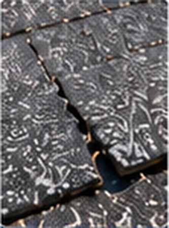 Cracked asphalt shingles &mdash; Free Roof Program Porter Ranch