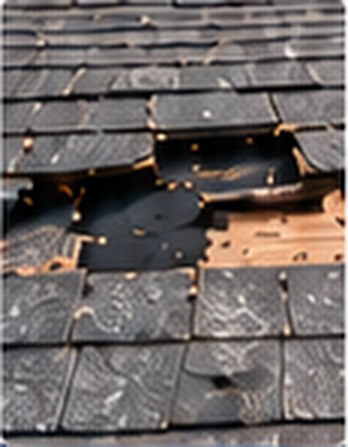 Missing shingles exposing the roof deck &mdash; Free Roof Program Porter Ranch